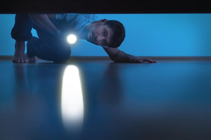 Actual product image Ansmann LED torch Daily Use 70B incl. 1xAA 1600-0427 (9.60 cm, 70 lm)