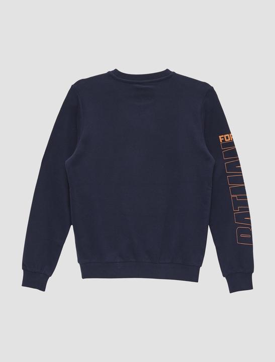 Produktbild s.Oliver Sweatshirt Sweatshirt mit Batman®-Print (L)