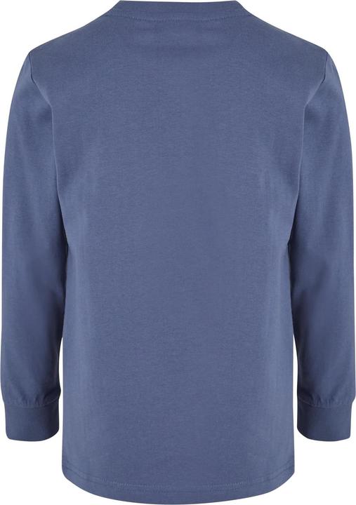 Gris-bleu