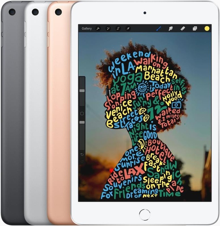 Image du produit Apple iPad mini 2019 (5. Gen) (4G, 7.90", 256 Go, Space grey)