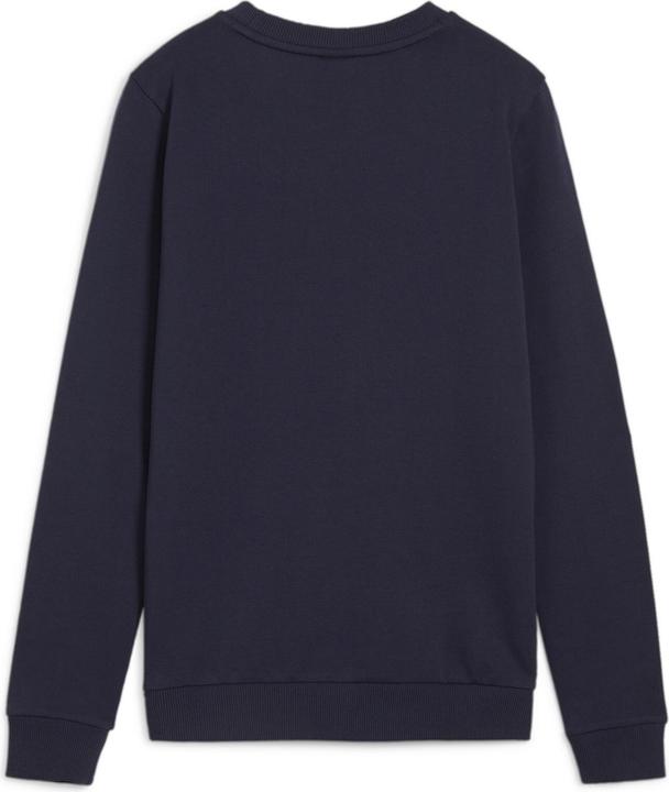 Actual product image Puma teamGOAL Casuals Crew Neck Sweat Wmn (XXL)