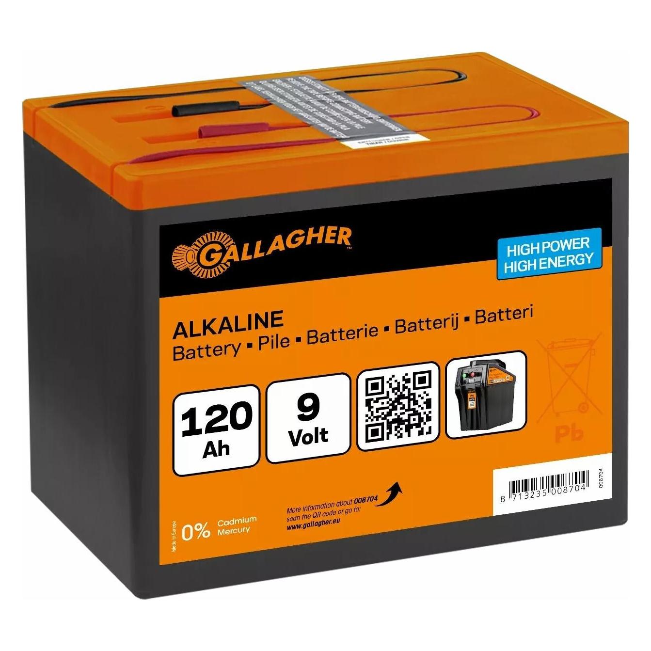 Heiniger Trockenbatterie 120 Ah (1 Stk.), Batterien + Akkus