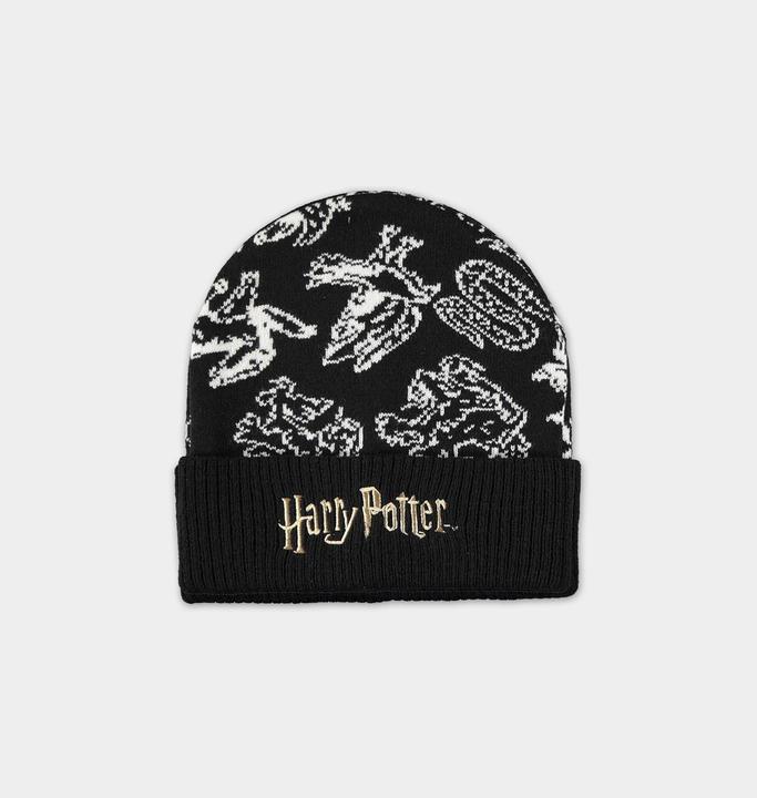 Produktbild Harry Potter: Wizards Unite Giftset (Beanie & Scarf) (One Size)