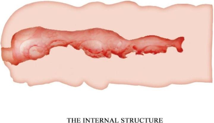 Productafbeelding Crazy Bull Isabel Vagina Masturbator 13,5 cm