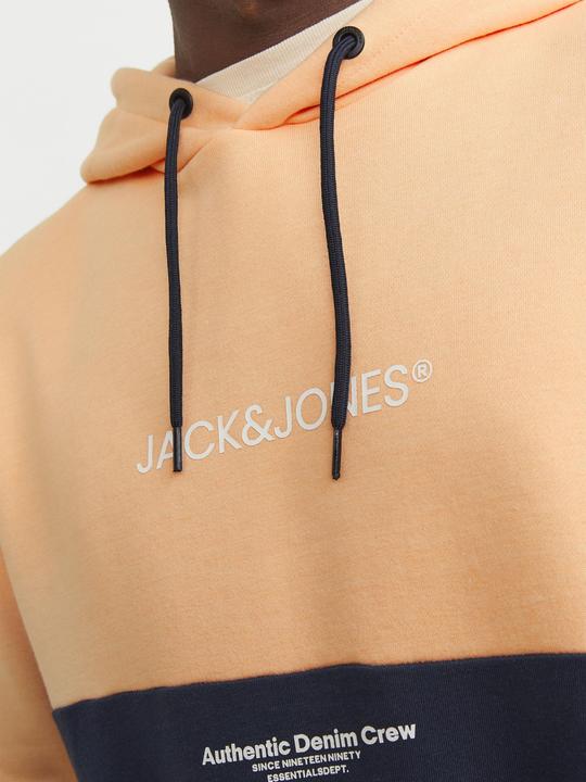 Produktbild Jack & Jones Colorblock Hoodie (XXL)