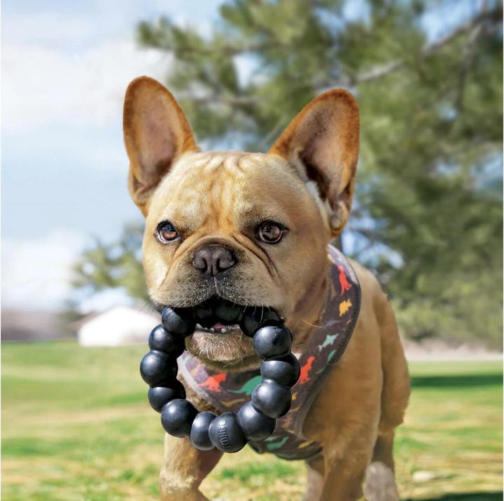 Immagine prodotto KONG Gioco per cani ad anello nero (Ø13,5 cm) (Gioco da masticare per cani)