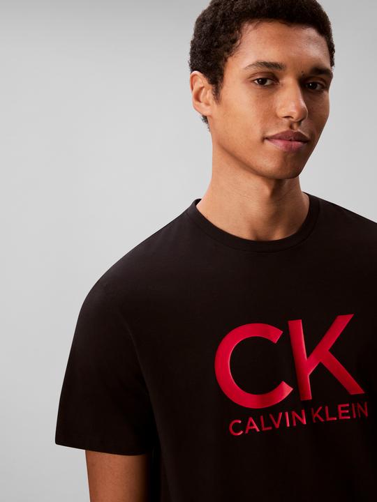 Actual product image Calvin Klein Graphic Tee (L)