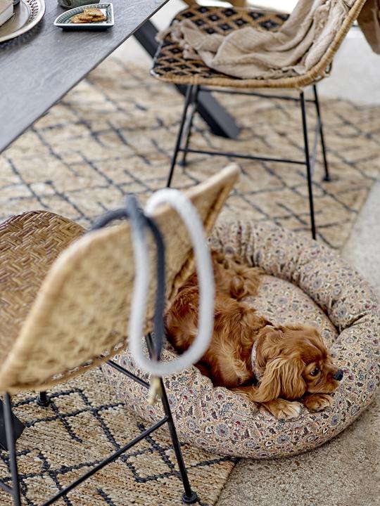 Image du produit Bloomingville Ceylan (Chien, Général)