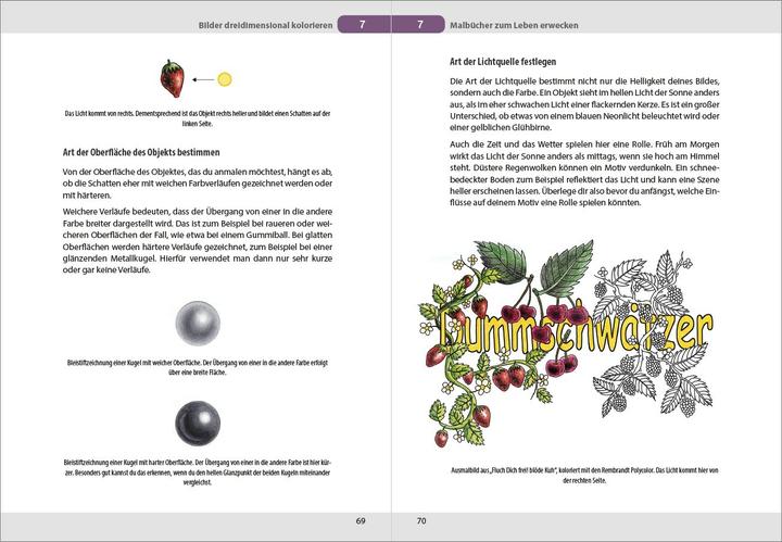 Produktbild Kreative Ausmaltechniken - Malbücher zum Leben erwecken! (Deutsch, Anja Wenzke, 2017)