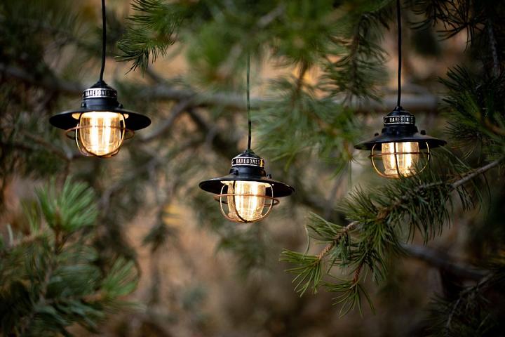 Actual product image Barebones Edison string lights fairy lights 3 lamps (0.11 m)
