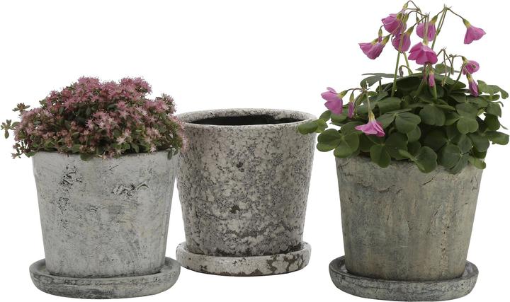 Image du produit A Simple Mess Flowerpot (14 cm)