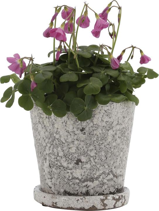 Image du produit A Simple Mess Flowerpot (14 cm)