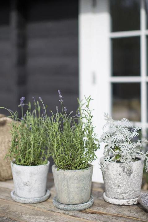 Image du produit A Simple Mess Flowerpot (14 cm)