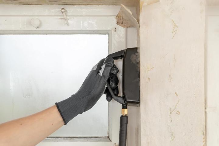 Productafbeelding SteamForce Speed Pro stoom behangafstomer 2750 W (2750 W)