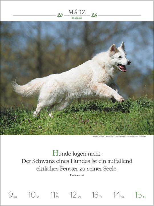 Produktbild Literaturkalender Hunde 2026 (Spezial)