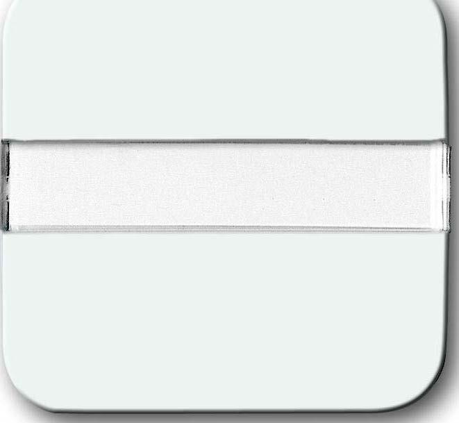 Actual product image Busch-Jaeger Seesaw