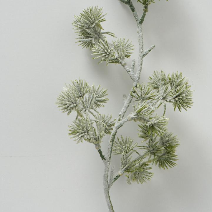 Produktbild Boltze Home Kiefer (5 cm)