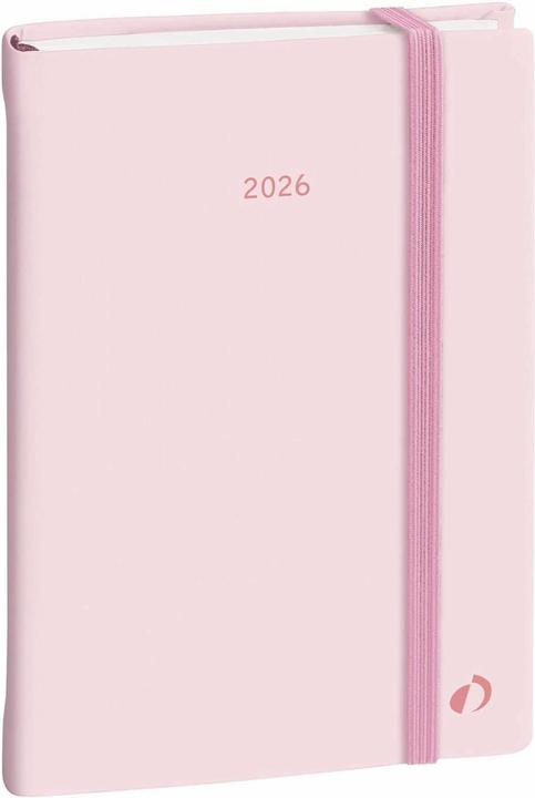 Produktbild Quo Vadis DAILY 21 COLOR