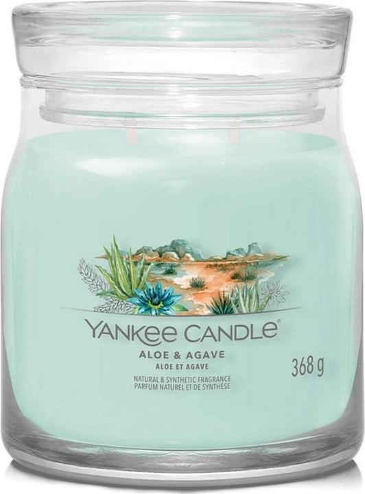 Actual product image Yankee Candle Aloe & Agave