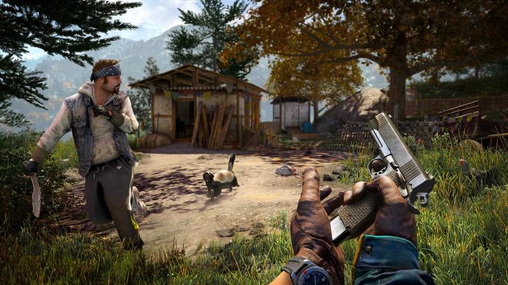 Image du produit Ubisoft Far Cry 4 (PS4, EN)