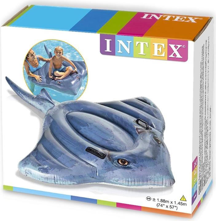 Actual product image Intex Stingray