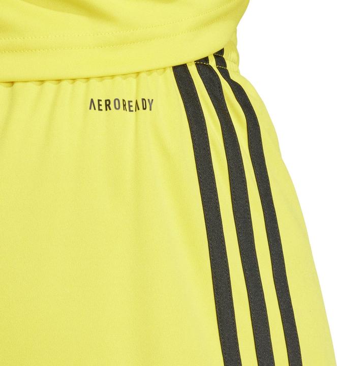 Actual product image adidas Squadra 25 Short (L)