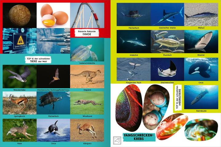 Produktbild Das schnellste Stickerheft der Welt