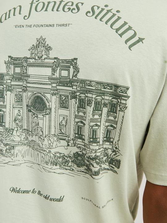 Immagine prodotto Jack & Jones T-shirt stampata con scollo rotondo (XXL)
