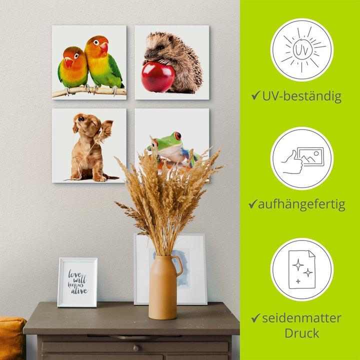 Produktbild Artland Grauköpfchen Igel Hund Frosch K2IK (20 x 20 cm)