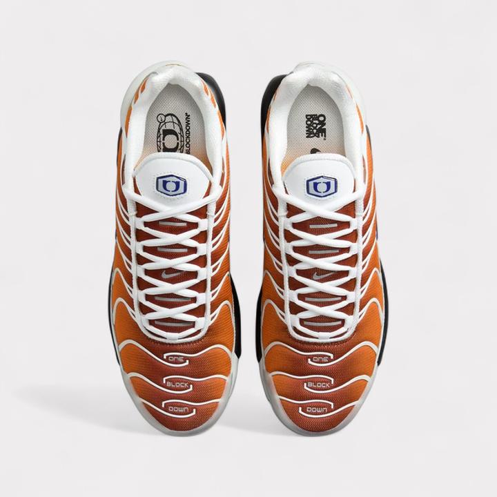Image du produit Nike Air Max Plus One Block Down (43)