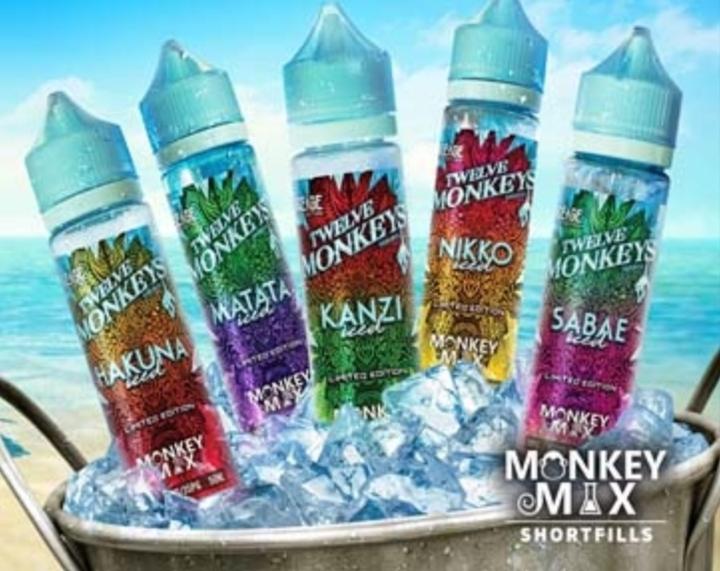 Twelve Monkeys Kanzi Iced - acheter sur Galaxus - Galaxus