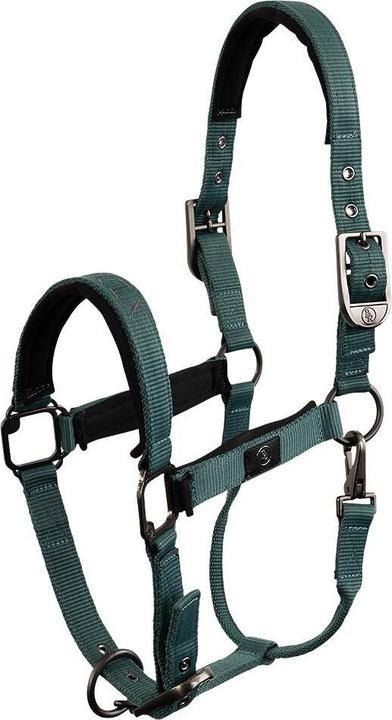 Immagine prodotto BR Equestrian Equipment Clx