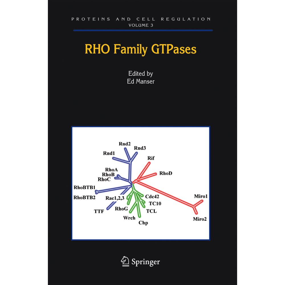 Rho Family GTPases, Fachbücher von Edward J. Manser