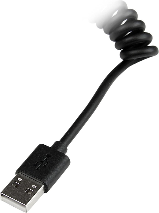 Actual product image StarTech Lightning on USB (0.30 m, USB 2.0)