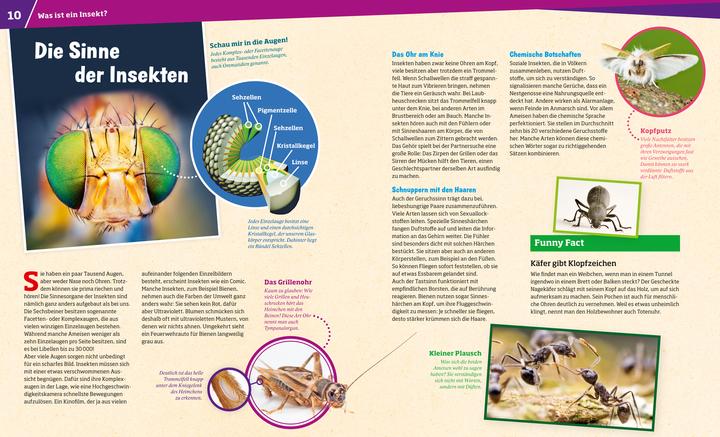 Image du produit Tessloff WAS IST WAS Band 30 Insekten. Überlebenskünstler auf sechs Beinen (Allemand, Alexandra Rigos, 2018)