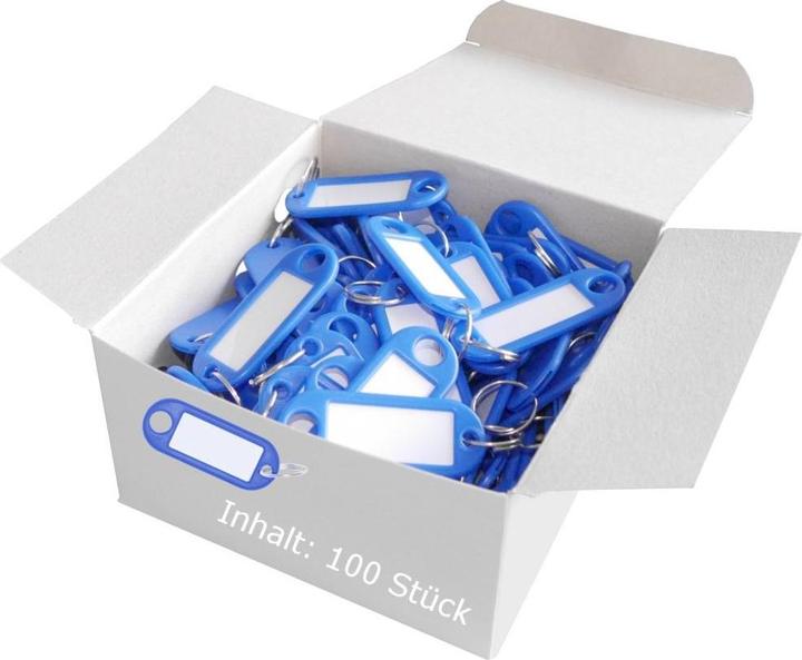 Actual product image Wedo Key ring 18 mm with ring, blue, 100 pieces