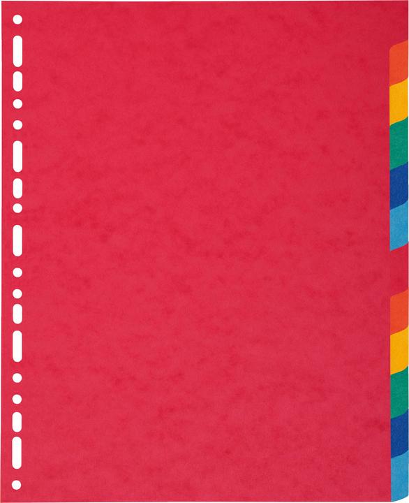 Produktbild Exacompta Blanko-Register - Karton