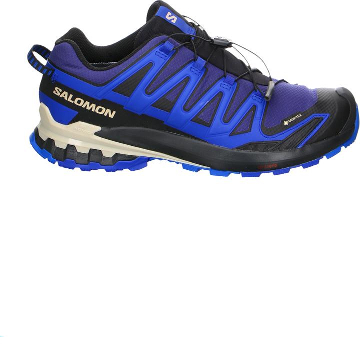 Image du produit Salomon XA PRO 3D V9 GTX - 60353 (46)