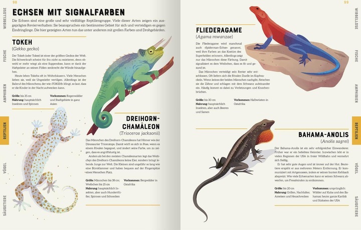 Produktbild Das grosse Lexikon der Tiere (Deutsch, Jules Howard, 2022)