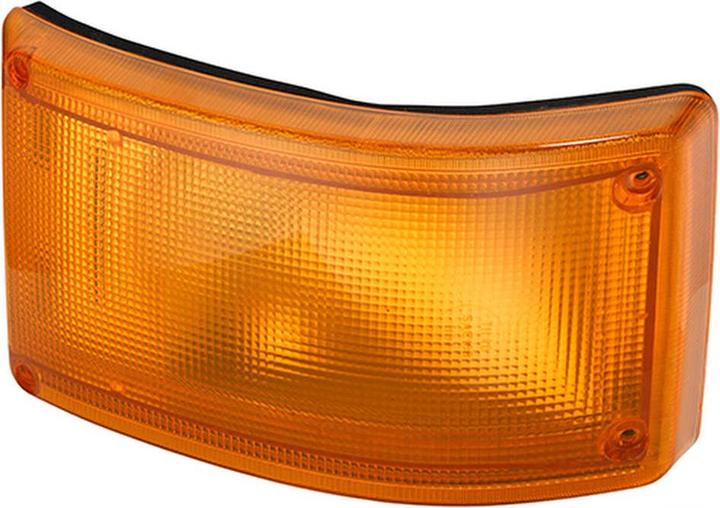 Actual product image Hella Halogen indicator for MACK