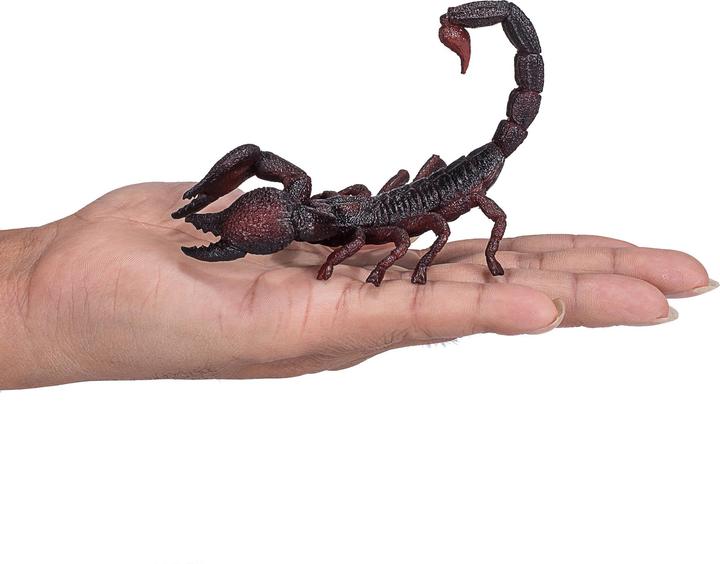 Image du produit small foot Scorpion impérial