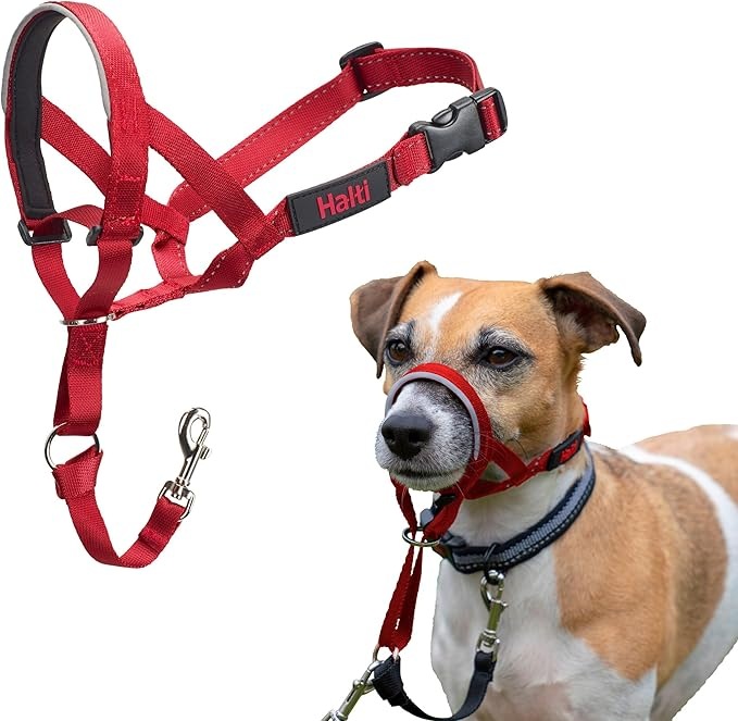 Produktbild Company of Animals Halti Red Kopfgeschirr 3 (3, Hund)