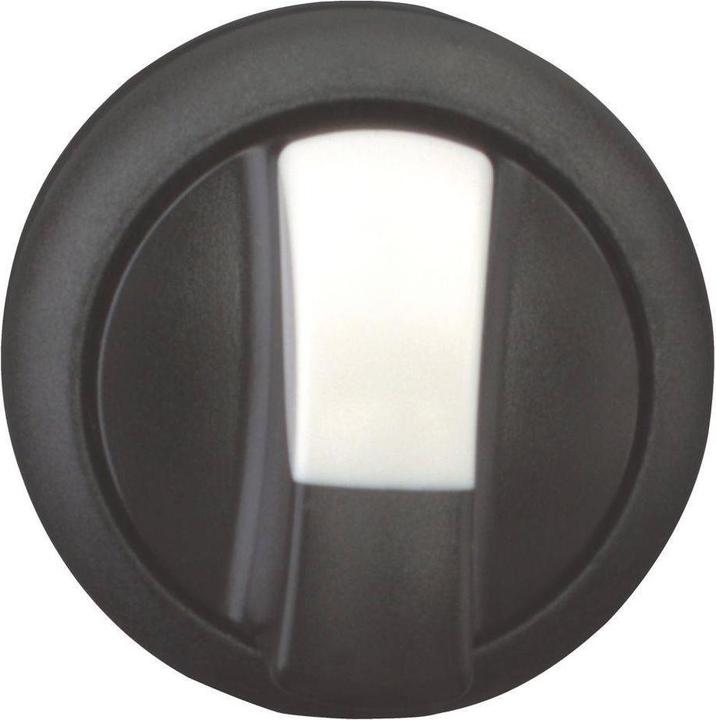 Actual product image Eaton Electric GmbH Selector button with toggle handle 2 positions, blank M22S-WK
