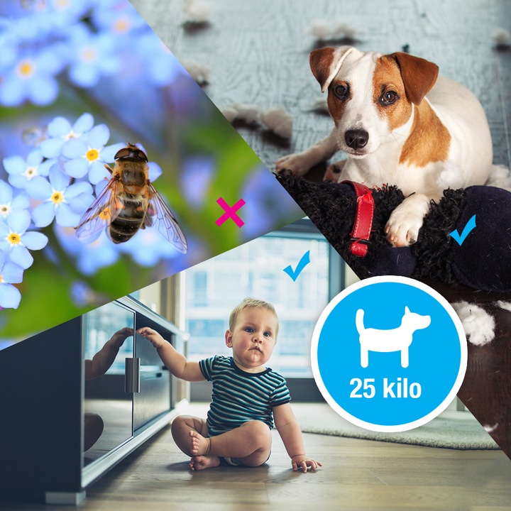 Actual product image EZVIZ C3A Duo Pack (1920 x 1080 Pixels)