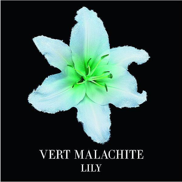 Immagine prodotto Giorgio Armani Vert Malachite (Eau de parfum, 50 ml)