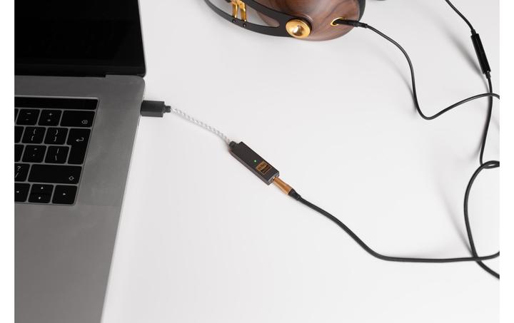 Actual product image iFi Audio GO link (USB-DAC)