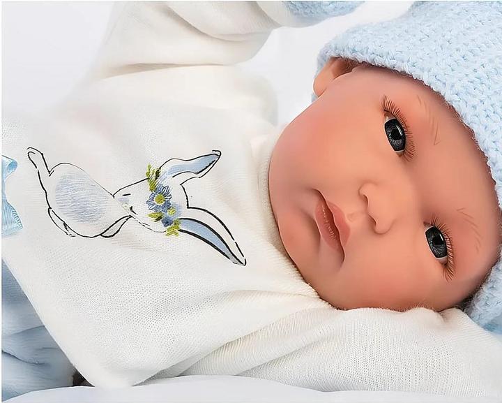 Actual product image Llorens Bimbo