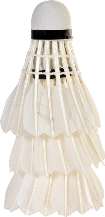 Actual product image Sport X Shuttles 3 pc. in tube
