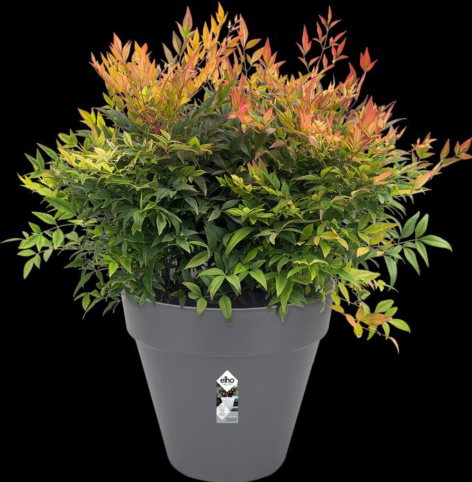 Produktbild Elho Loft Urban (28.50 cm)