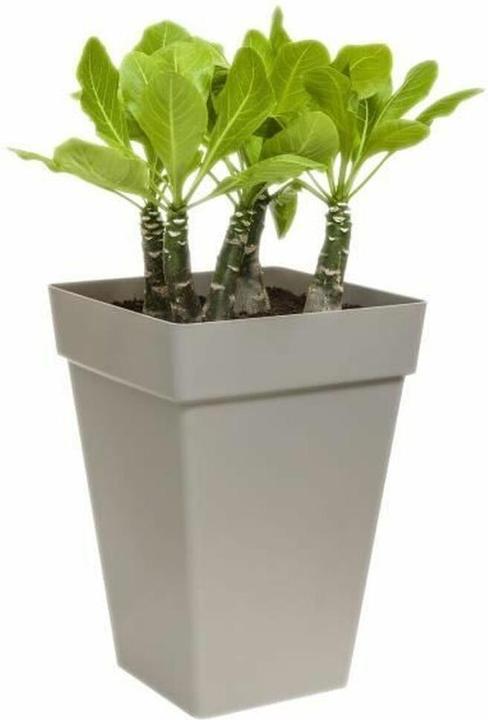 Produktbild Elho Loft Urban Eckig Hoch (37 cm)